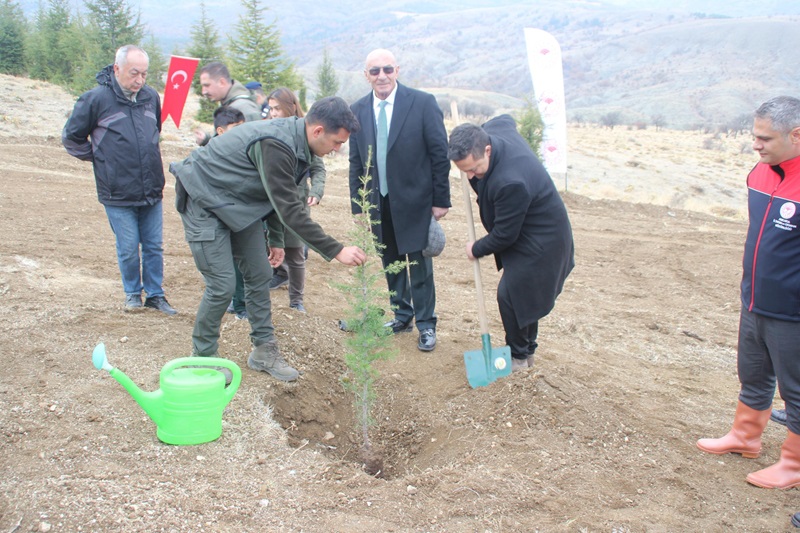 11 Kasım 2024 Milli Ağaçlandırma Günü